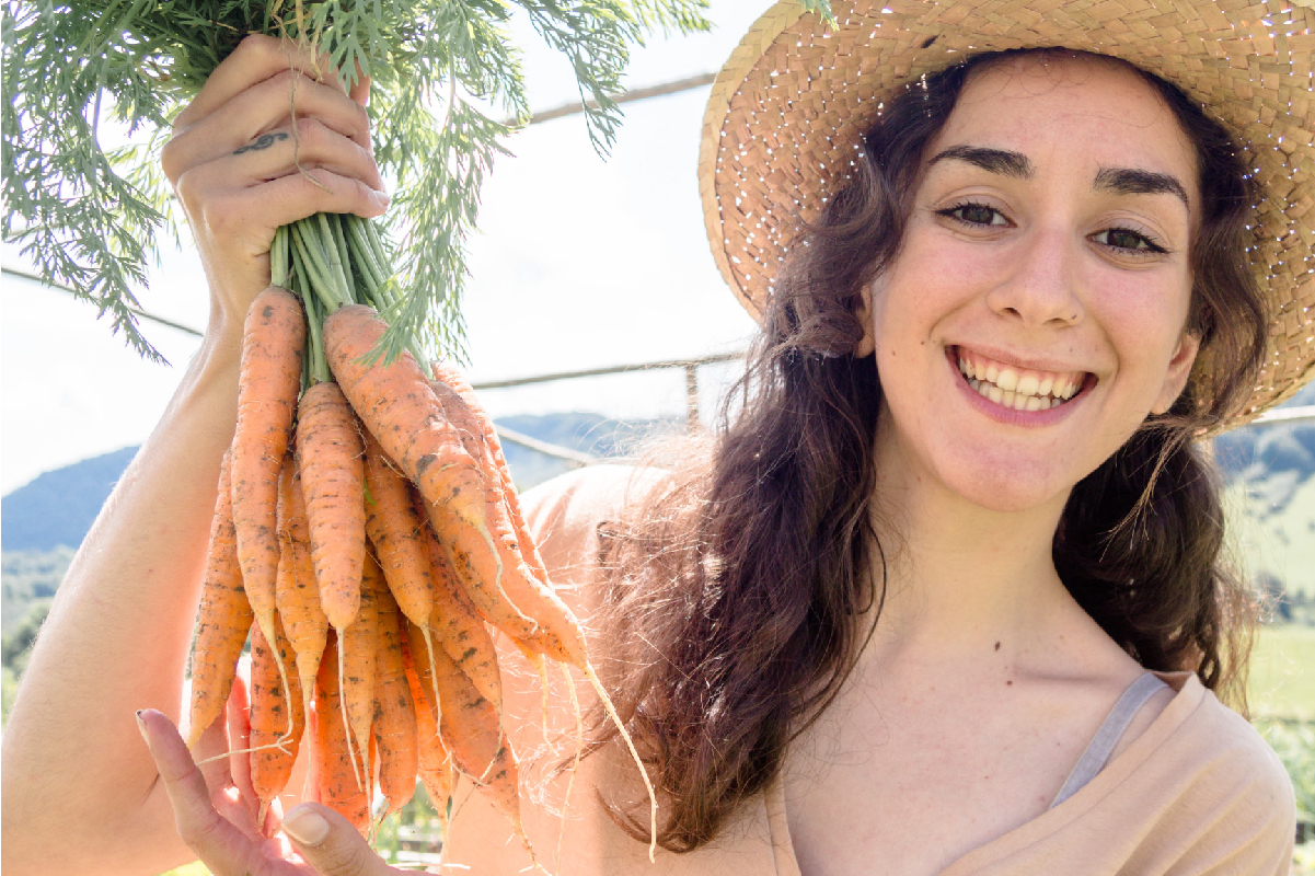 Cómo sembrar zanahorias en casa